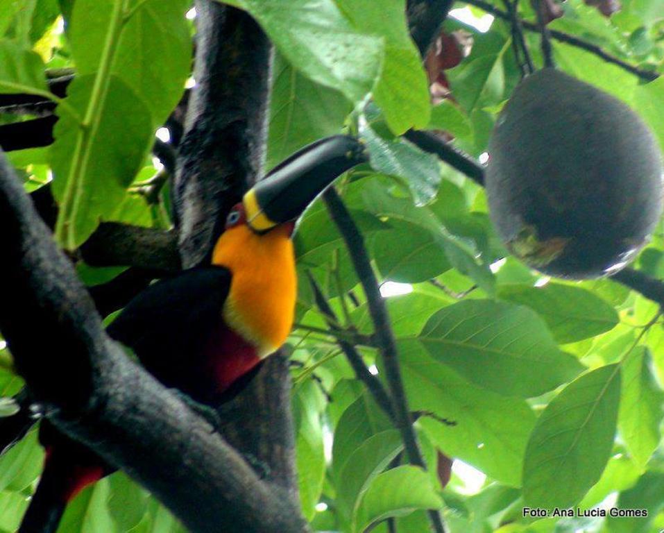 Rio Nature Hostel Rio de Janeiro Kültér fotó