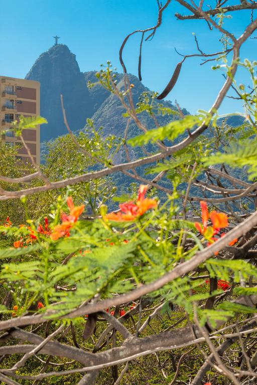 Rio Nature Hostel Rio de Janeiro Szoba fotó