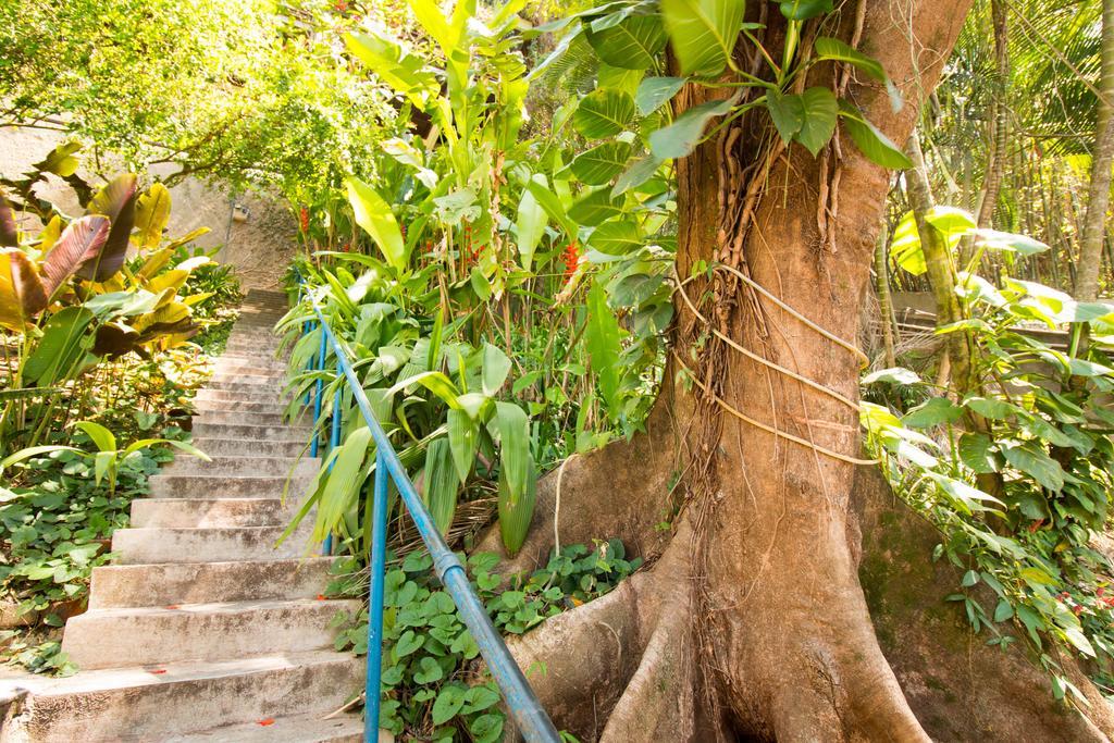 Rio Nature Hostel Rio de Janeiro Kültér fotó